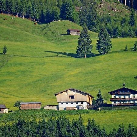 Ferienhaus Hochwimmer Hollersbach im Pinzgau Luaran gambar
