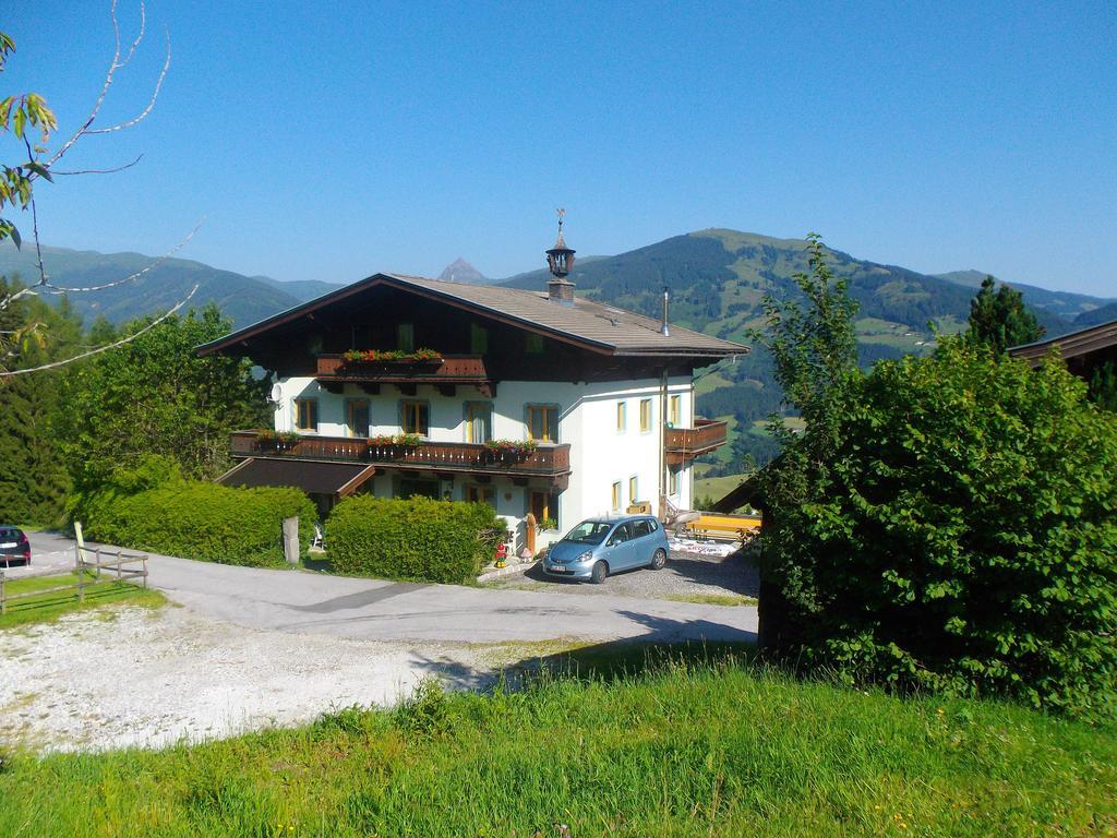 Ferienhaus Hochwimmer Hollersbach im Pinzgau Luaran gambar