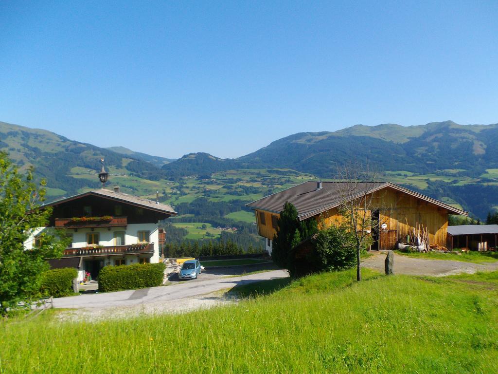 Ferienhaus Hochwimmer Hollersbach im Pinzgau Luaran gambar