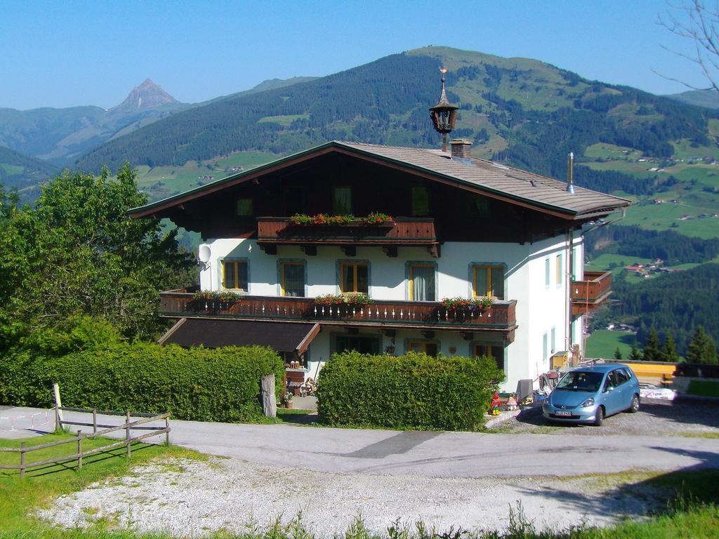 Ferienhaus Hochwimmer Hollersbach im Pinzgau Luaran gambar