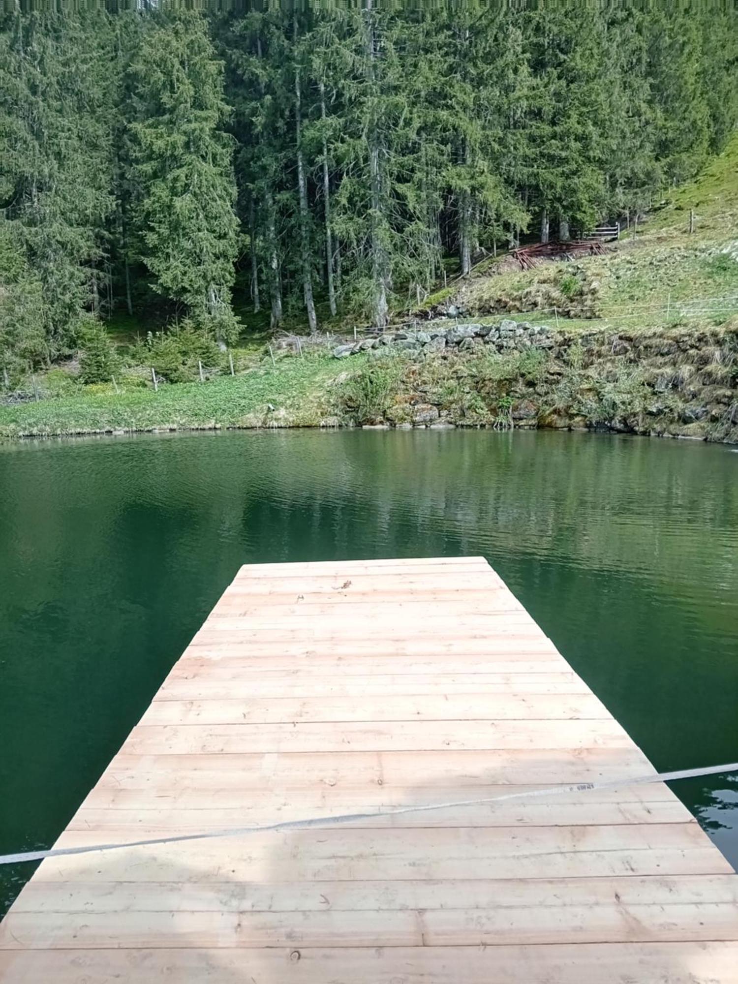 Ferienhaus Hochwimmer Hollersbach im Pinzgau Luaran gambar
