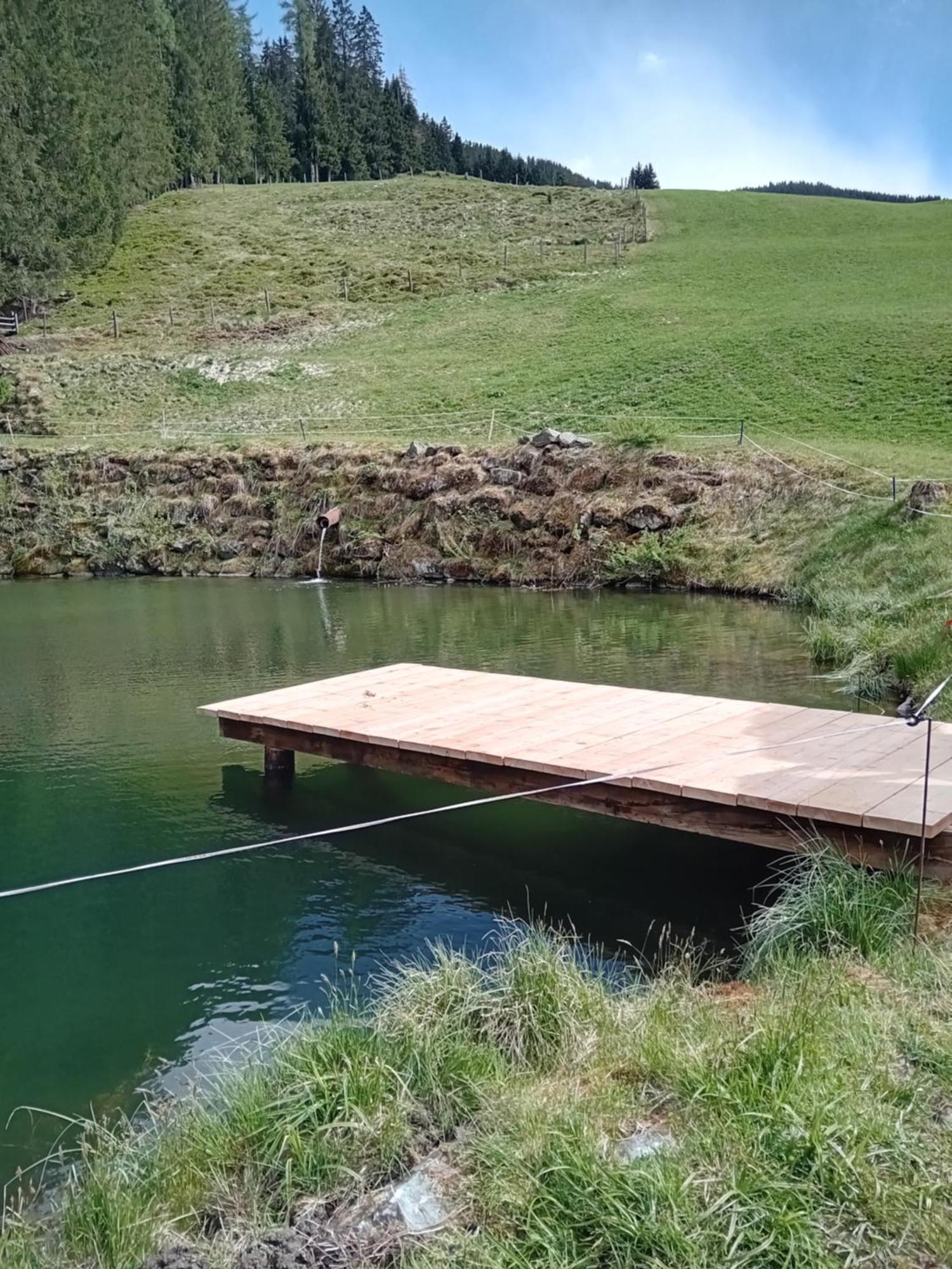 Ferienhaus Hochwimmer Hollersbach im Pinzgau Luaran gambar