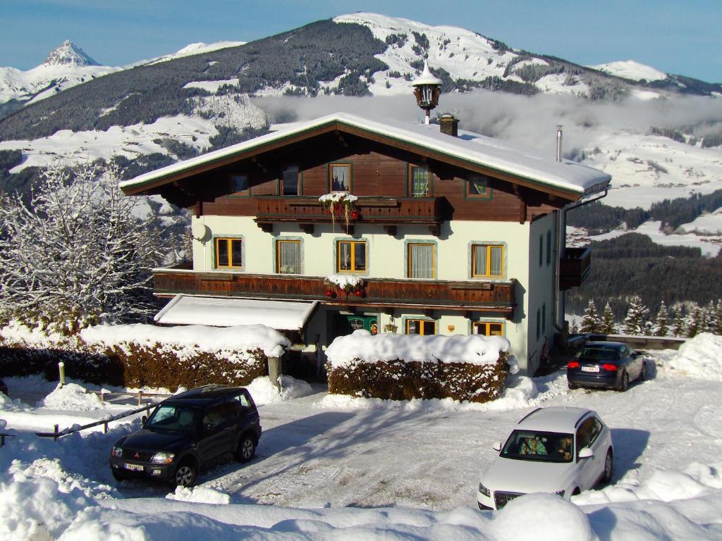 Ferienhaus Hochwimmer Hollersbach im Pinzgau Luaran gambar