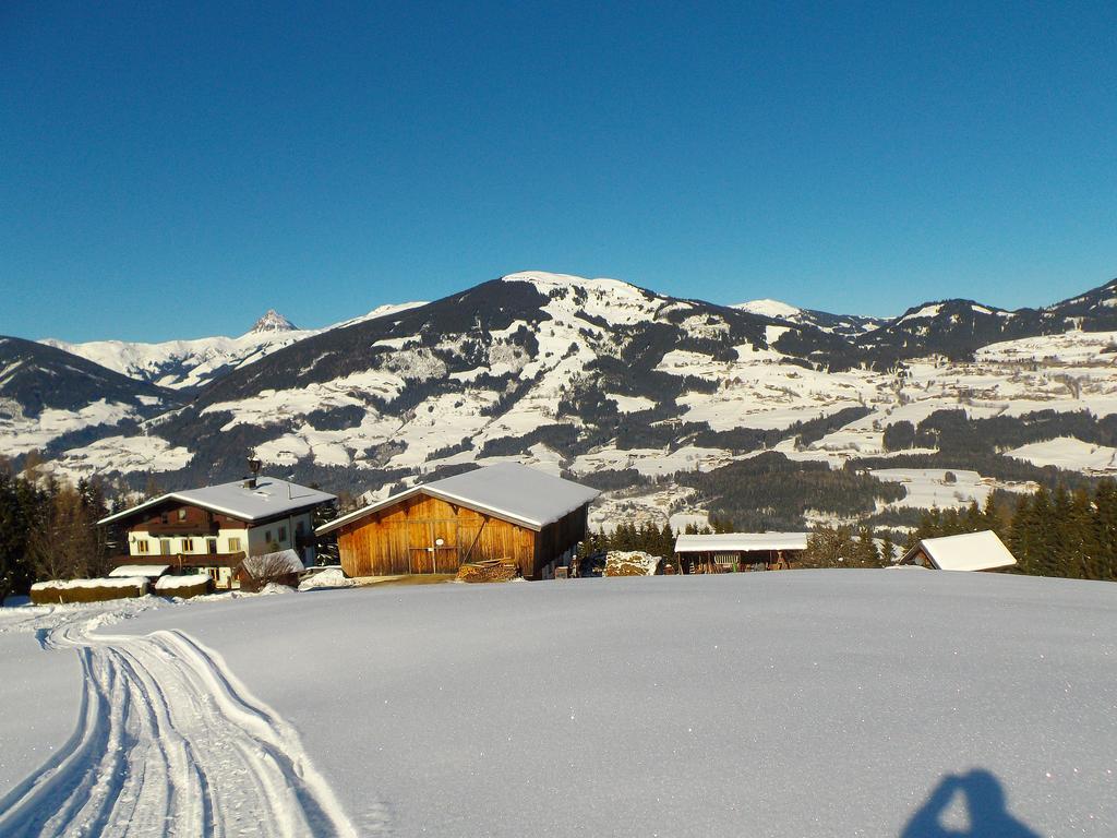Ferienhaus Hochwimmer Hollersbach im Pinzgau Luaran gambar