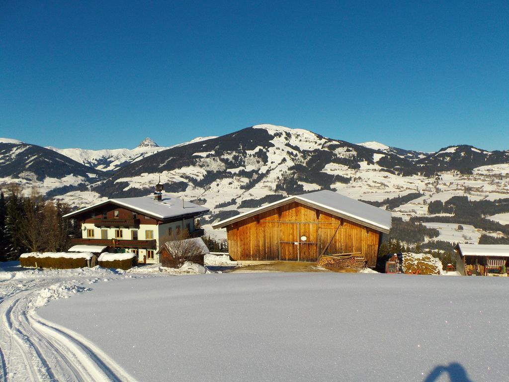 Ferienhaus Hochwimmer Hollersbach im Pinzgau Luaran gambar