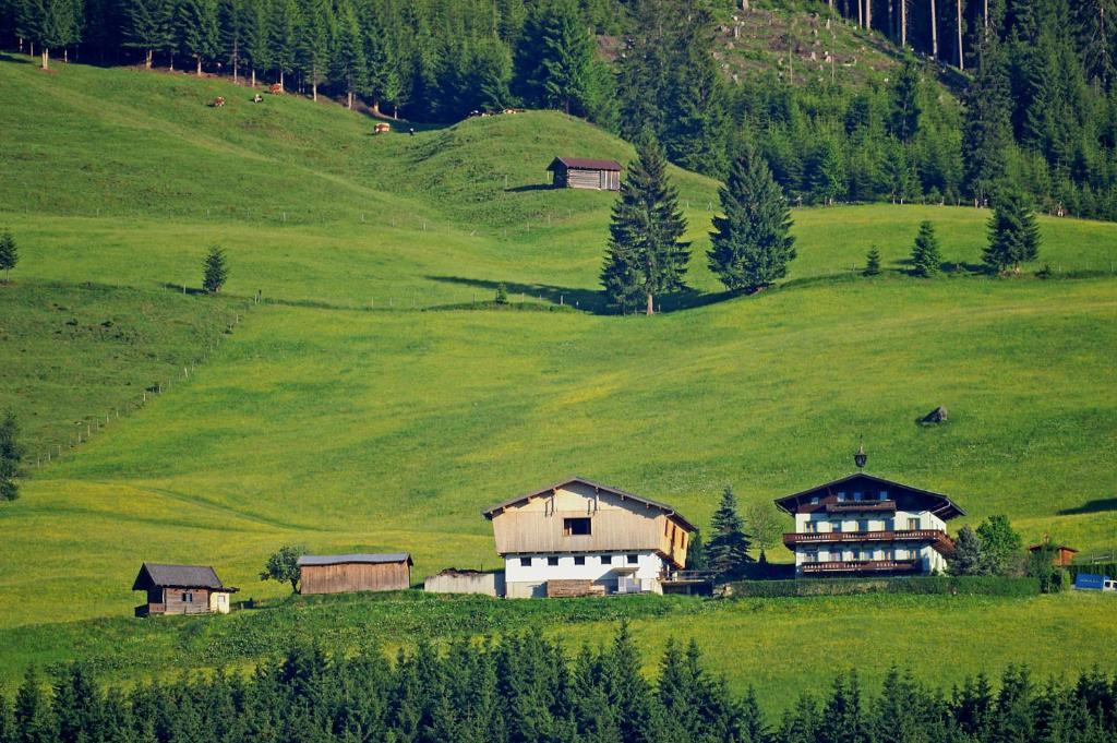 Ferienhaus Hochwimmer Hollersbach im Pinzgau Luaran gambar